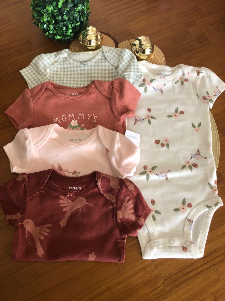 Kit bodys Carter's 5 peças Beija-flor